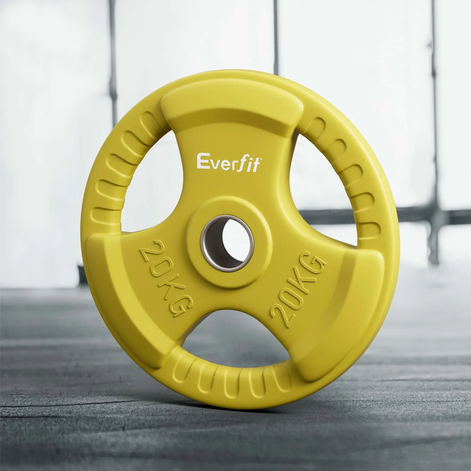 20kg Cast Iron Rubber Coated Weight Plate - Everfit