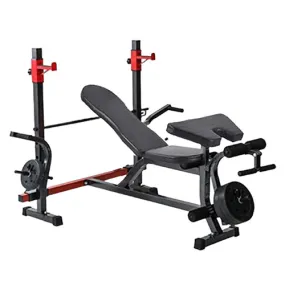 BodyFit Weight Lifting Gym Fitness Multi Function Bench Press Situp - (Weight plates not included)