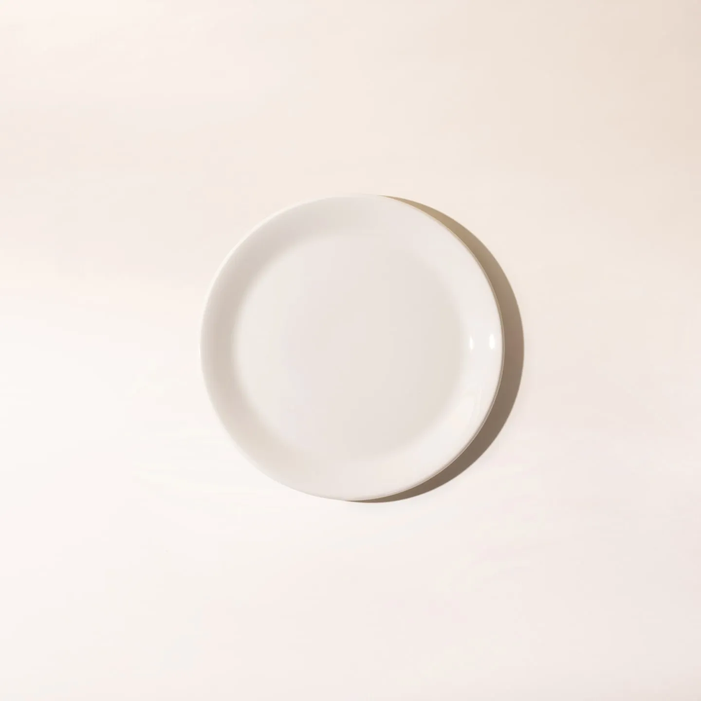 Dinner Plates