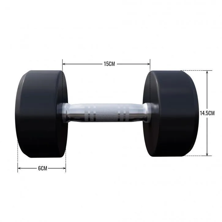 Fixed Dumbbell 10KG