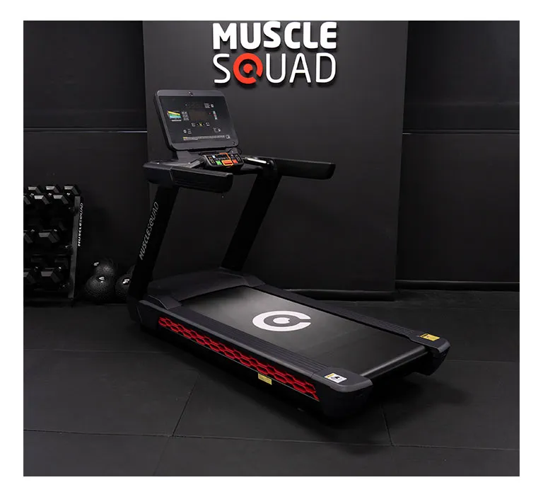 P300 Advanced Treadmill